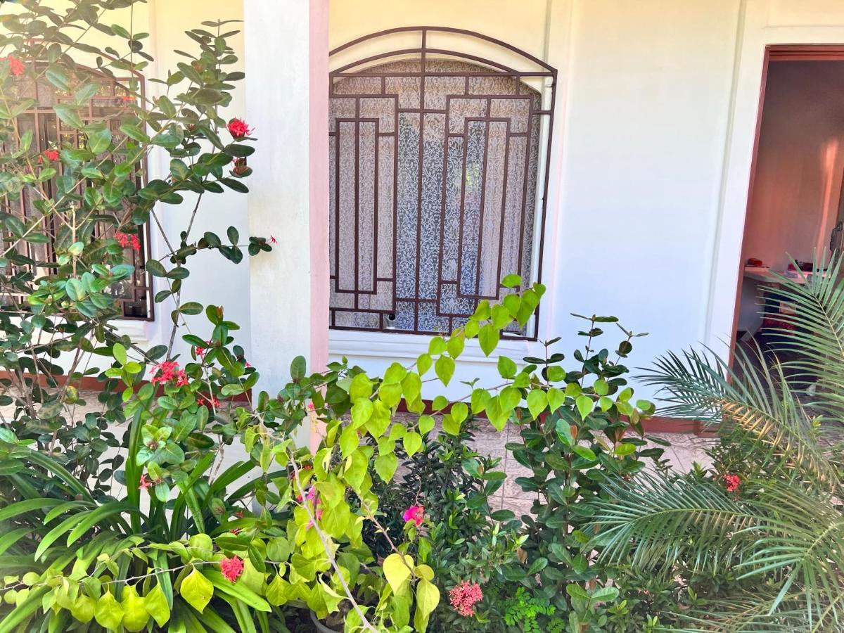 Natural Experience House Tortuguero Luaran gambar