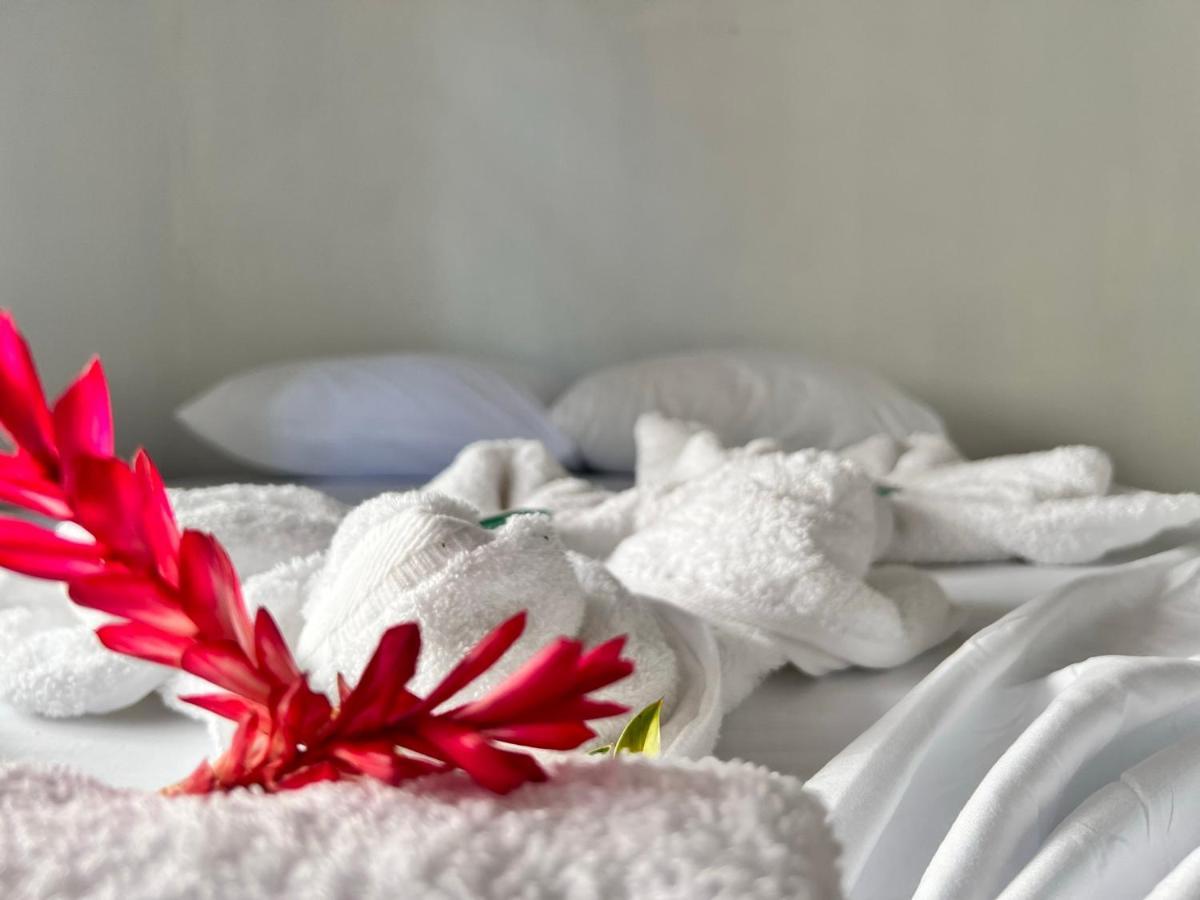 Natural Experience House Tortuguero Luaran gambar