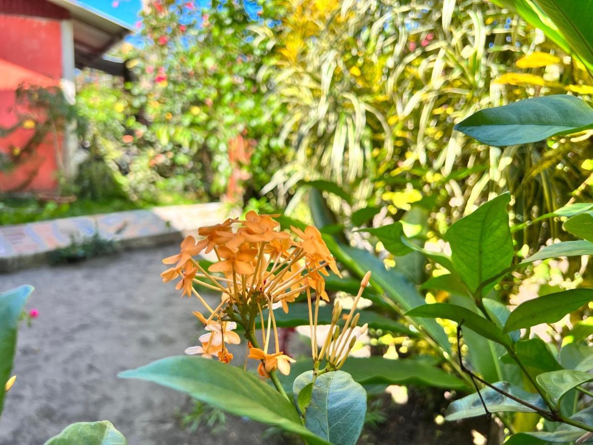 Natural Experience House Tortuguero Luaran gambar